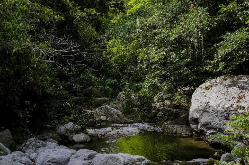 Tayrona Paradise El Zaino Exterior foto