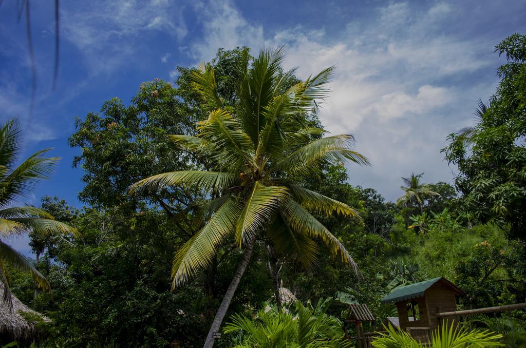 Tayrona Paradise El Zaino Exterior foto